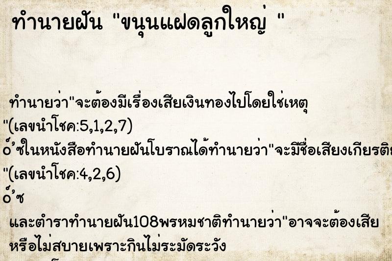 ทำนายฝัน ขนุนแฝดลูกใหญ่ 